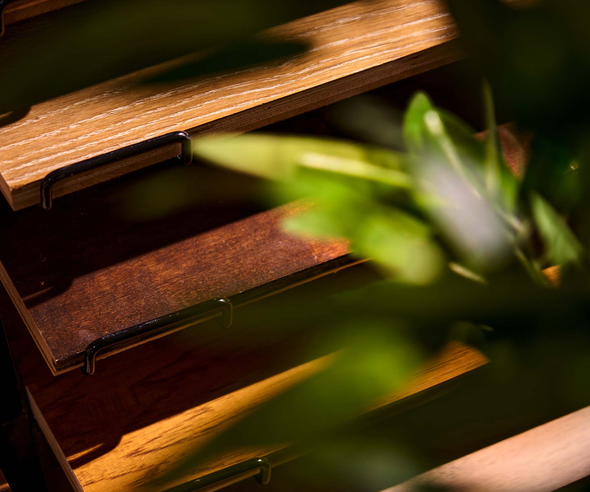 Flooring samples, seen through foliage.